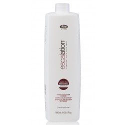 Color Enhancer Shampoo / Шампунь для окрашенных волос, 1000мл, ESCALATION, LISAP