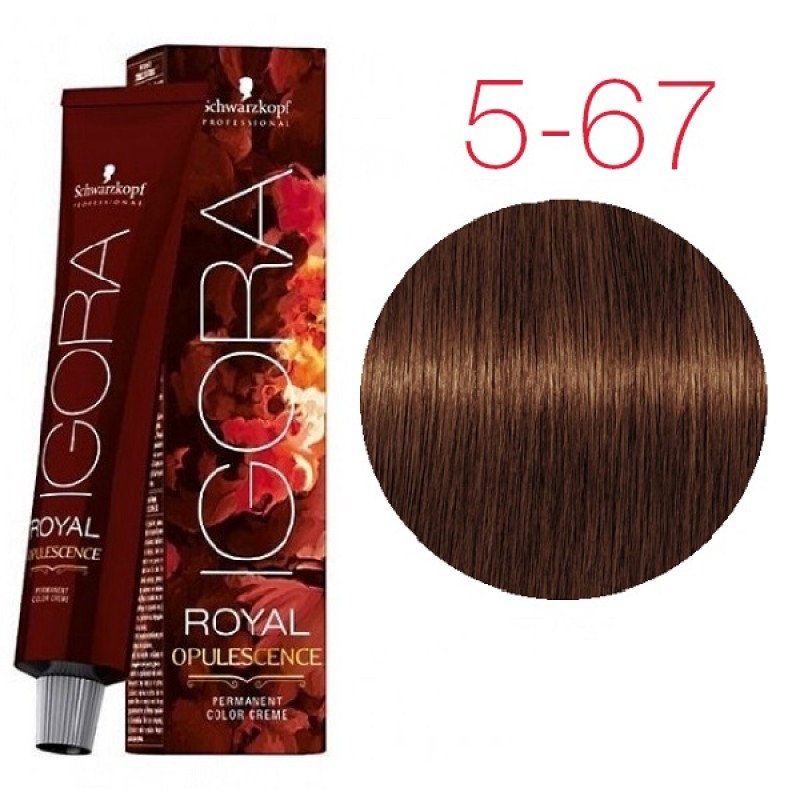 Краска schwarzkopf royal igora. Краска шварцкопф игора. Schwarzkopf professional Royal крем-краска Opulescence, 8-19. Schwarzkopf professional краска 5-19 Igora. Краска игора 8-19.